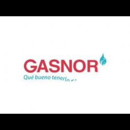 Tutorial para matriculados - APP MI GASNOR